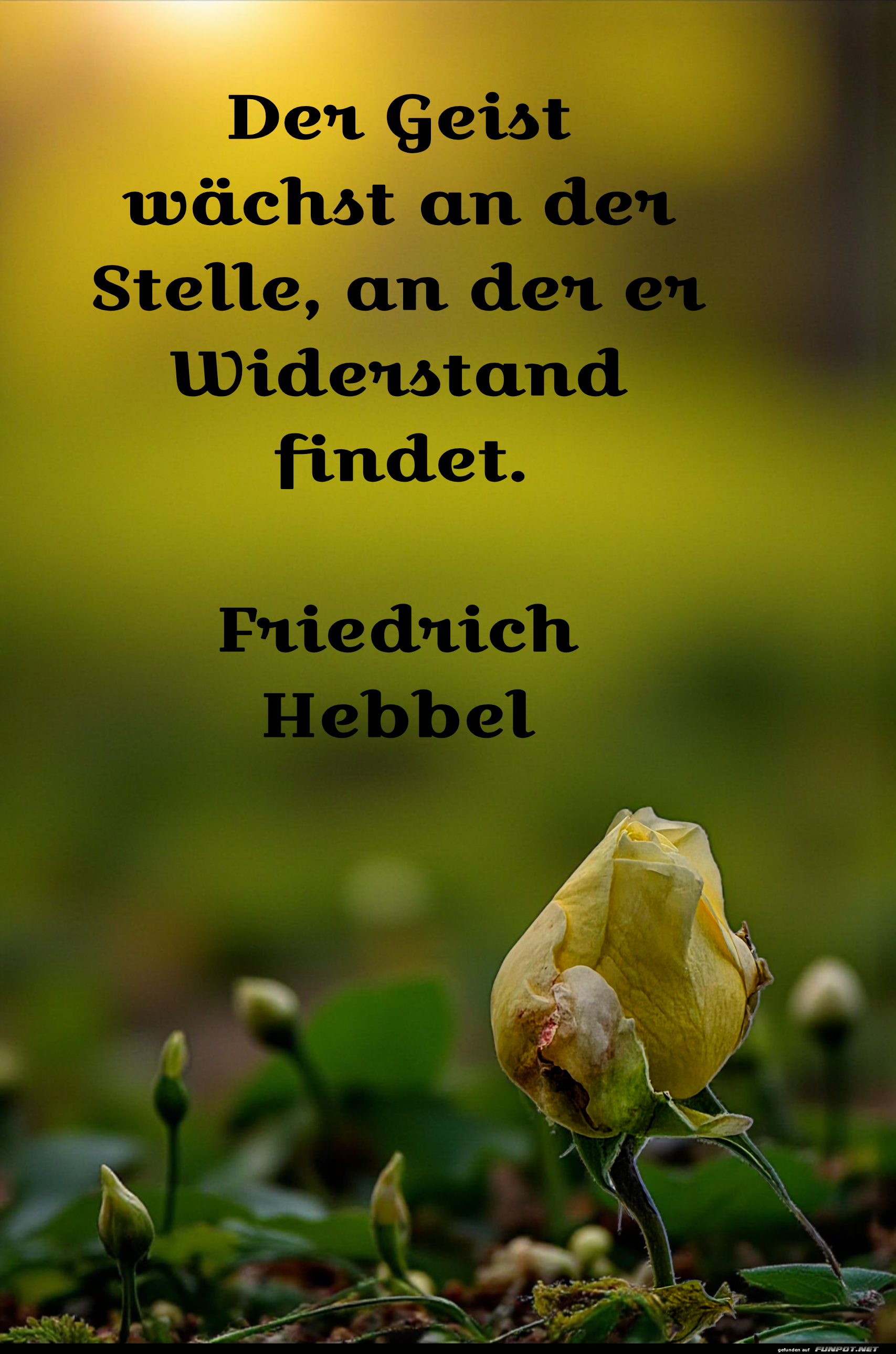 der geist w�chst an der stelle