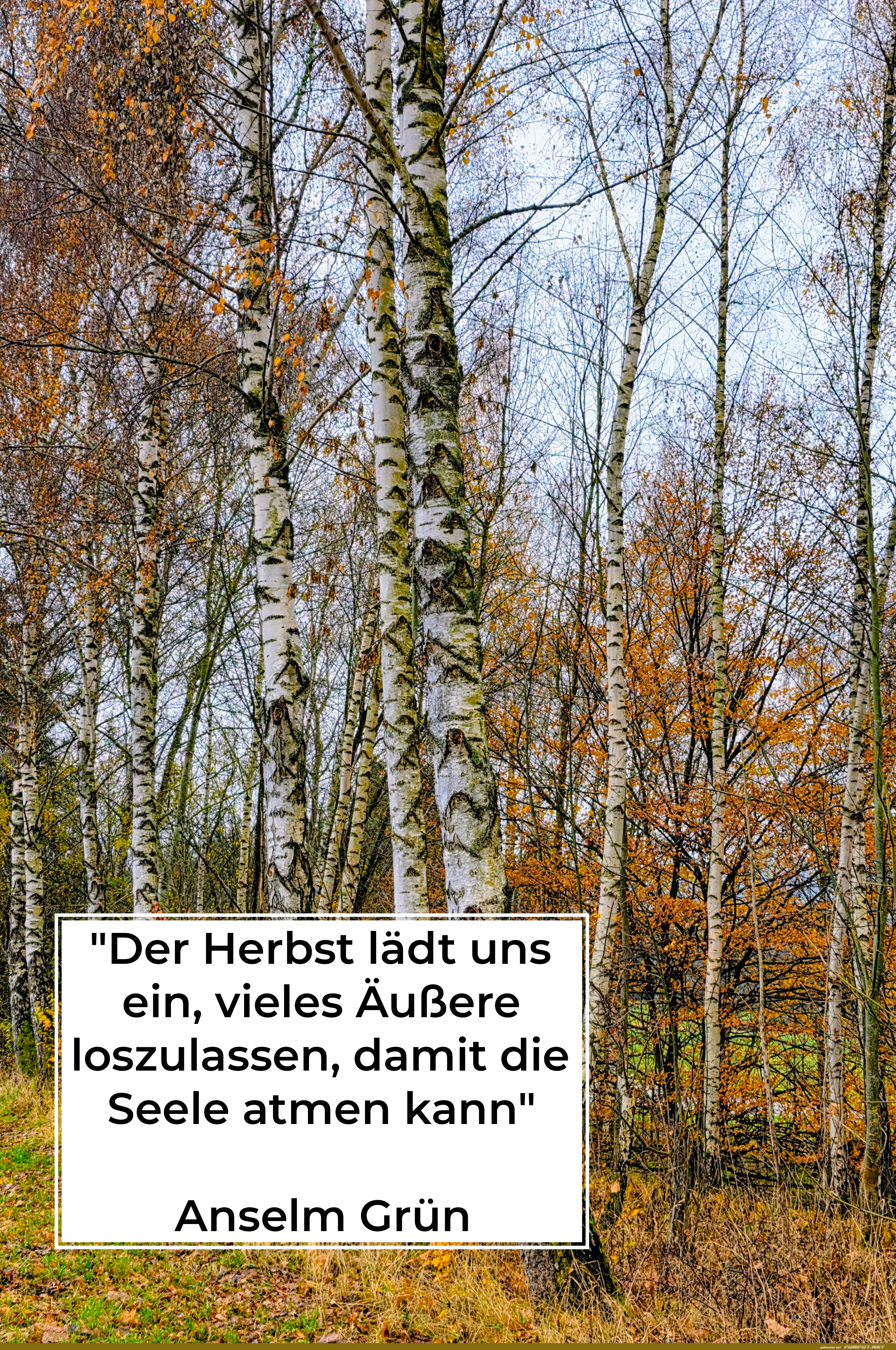 der herbst l�dt uns ein
