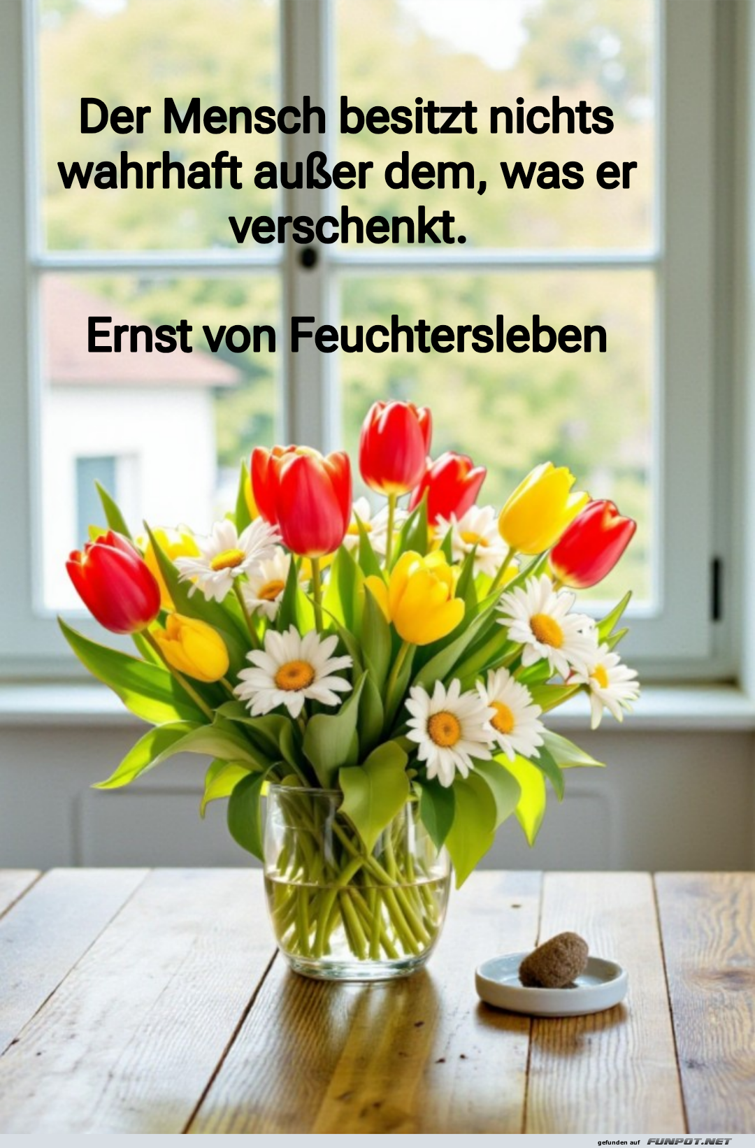 der mensch besitzt nichts