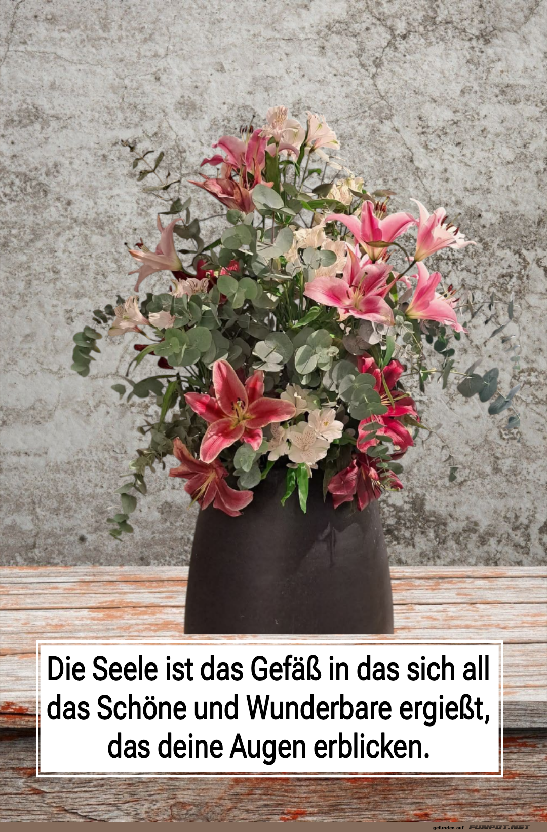 die seele ist das gef��