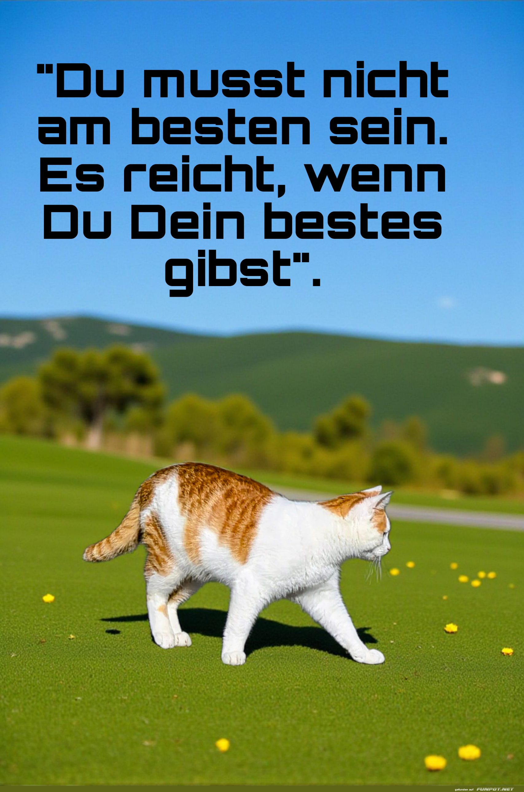 du musst nich am besten