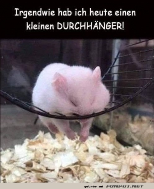 Wenn das Rad nicht mehr rund l�uft!