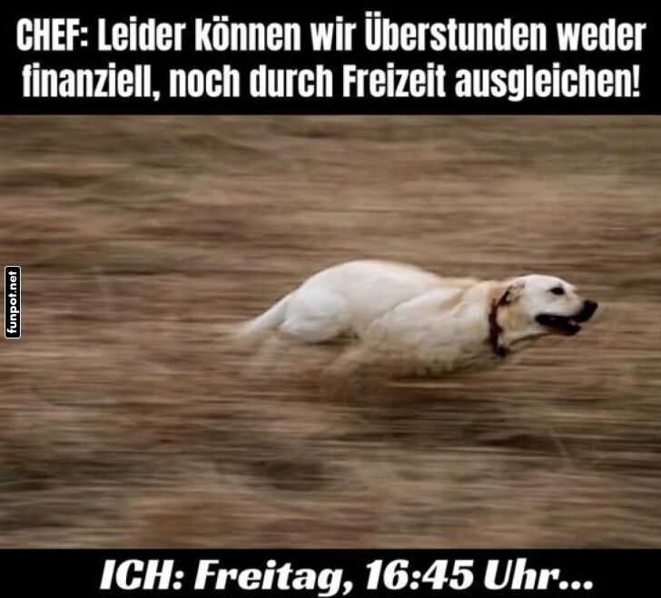 Der Freitags-Fluchtimpuls