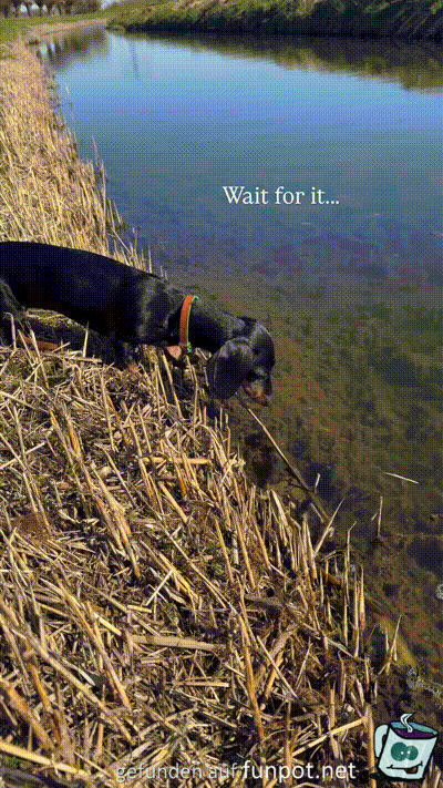 Das w�rde ich mir auch ansehen