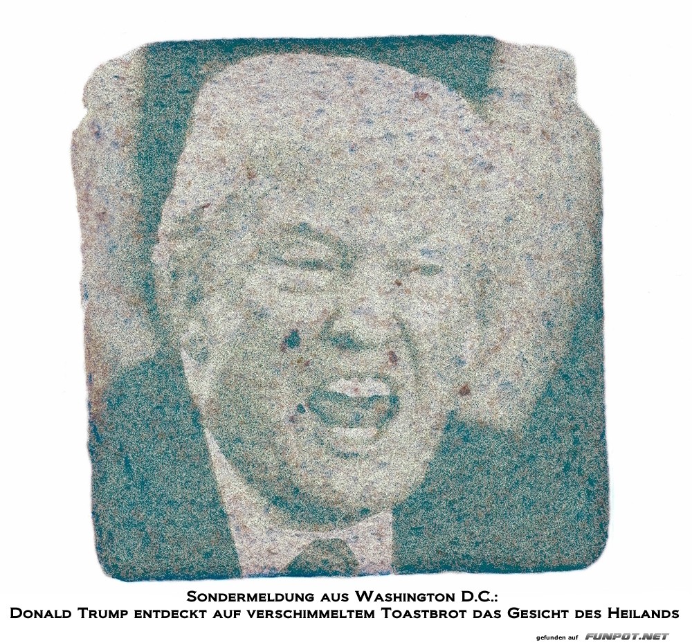 Sondermeldung aus Washington - Schimmelwunder