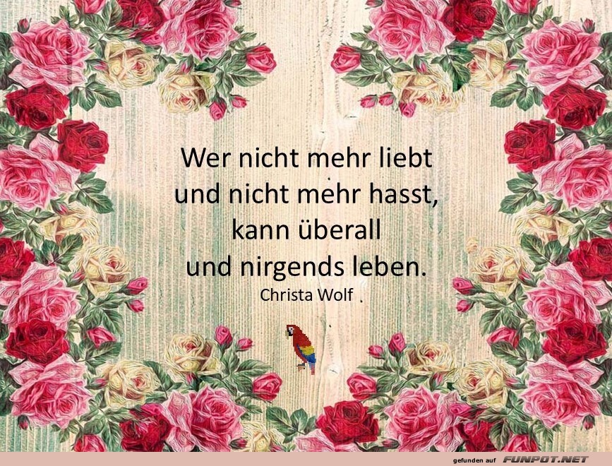 Wer nicht mehr liebt