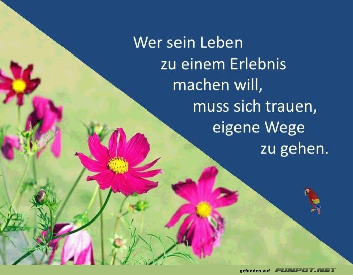 Wer sein Leben