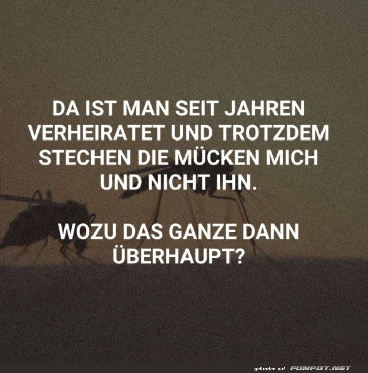 Heiraten sch�tzt nicht vor M�cken!