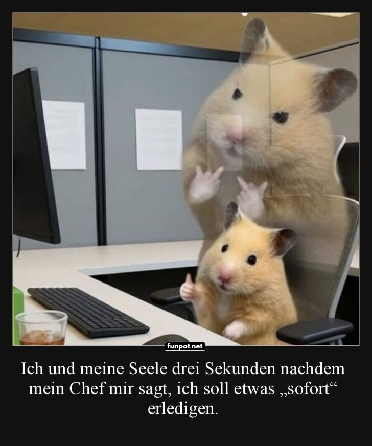 Wenn der Hamster den Chef nicht beeindruckt
