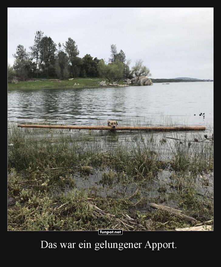 Schwimmender Logistikprofi am Werk!