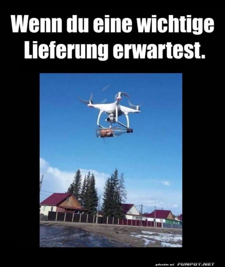 Express-Luftfracht f�r den kleinen Hunger