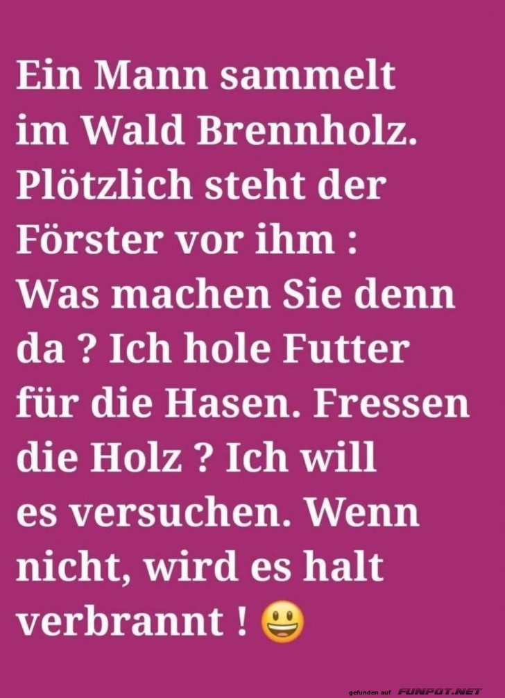 Hasen-Di�t: Holz oder Flamme?