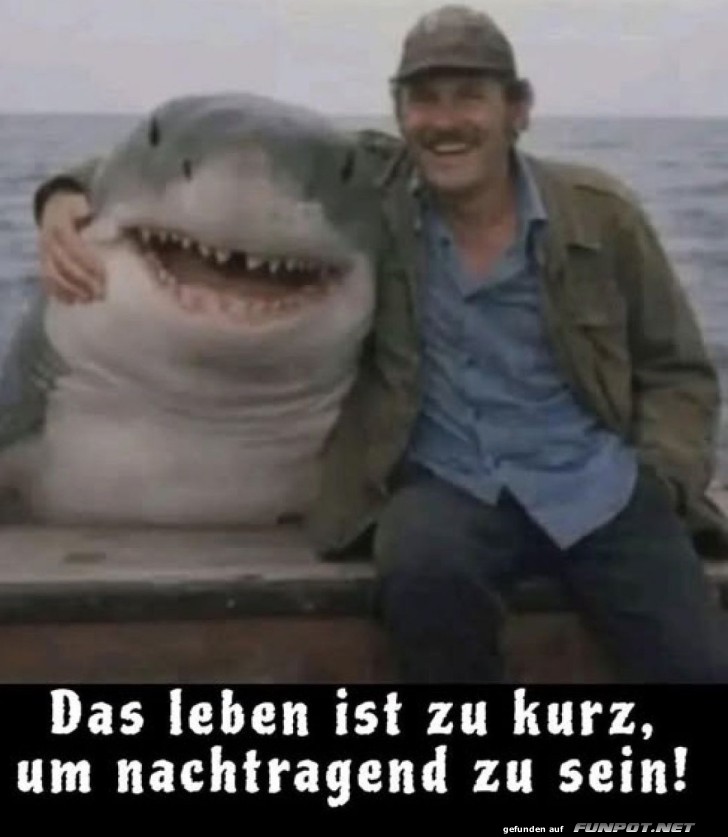 Wenn Menschen und Haie Freunde sind