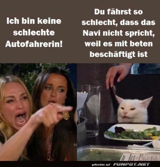 Wenn das Navi mehr betet als spricht