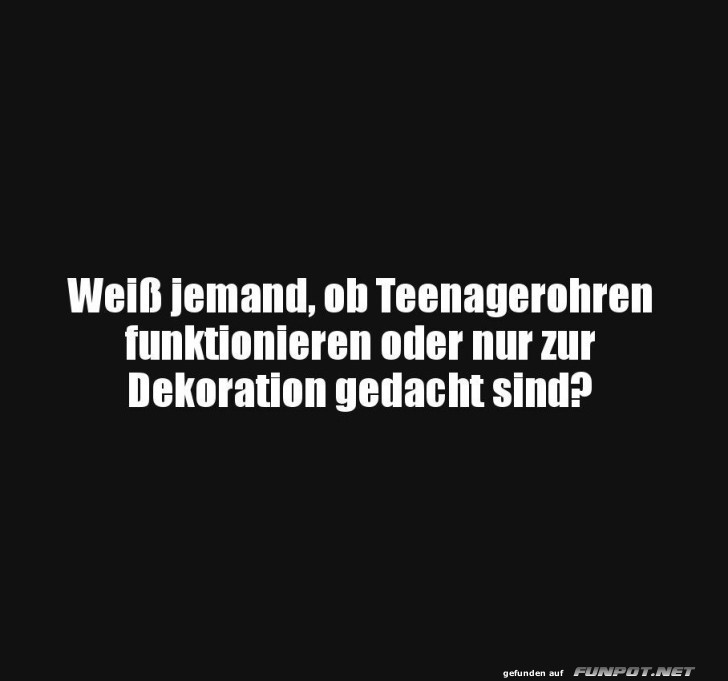 Hat jemand die Bedienungsanleitung f�r Ohren?