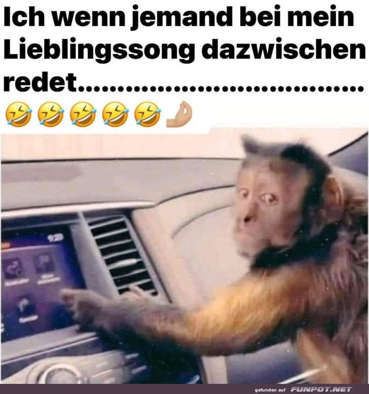 Affiger Notruf: Musik retten!