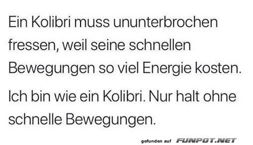 Kolibri-Logik f�rs Leben