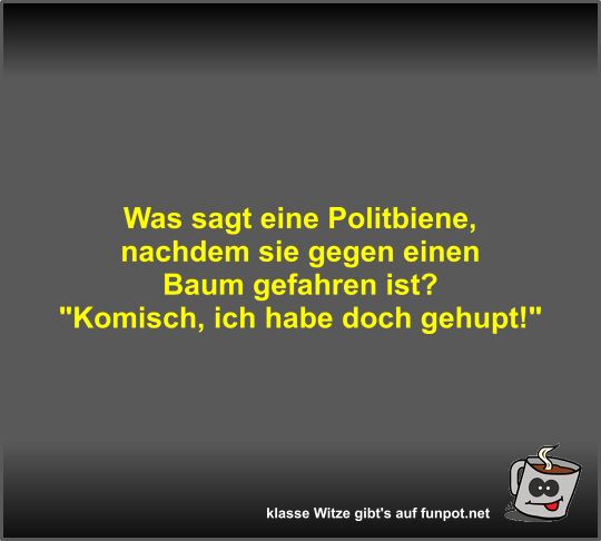 Was sagt eine Politbiene