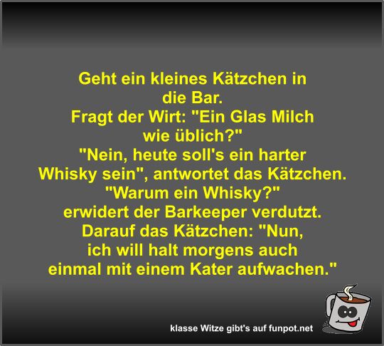 Geht ein kleines K�tzchen in die Bar