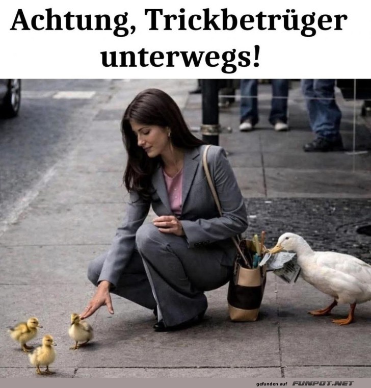 Verkleidungsk�nstler Ente: Meister des Schwindels