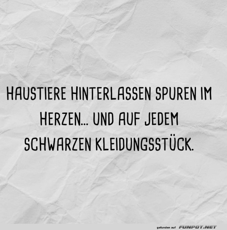 Haustierspuren �berall!