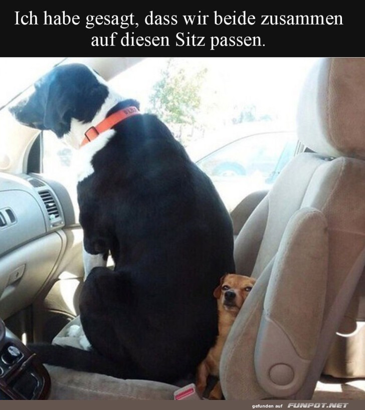 Wenn Teamwork anders aussieht als gedacht