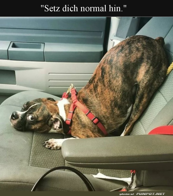 Wenn Sitzen zur kreativen Challenge wird!