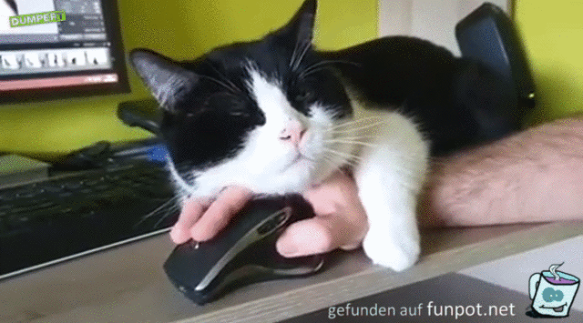 So kann man nicht arbeiten