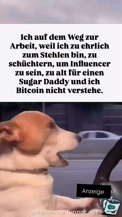 Irgendwas ist immer
