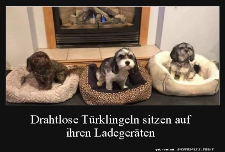 Drahtlose T�rklingen beim Aufladen