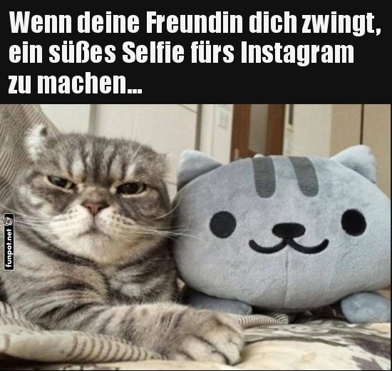 Instagram-Katastrophe mit Mieze und Pl�sch!