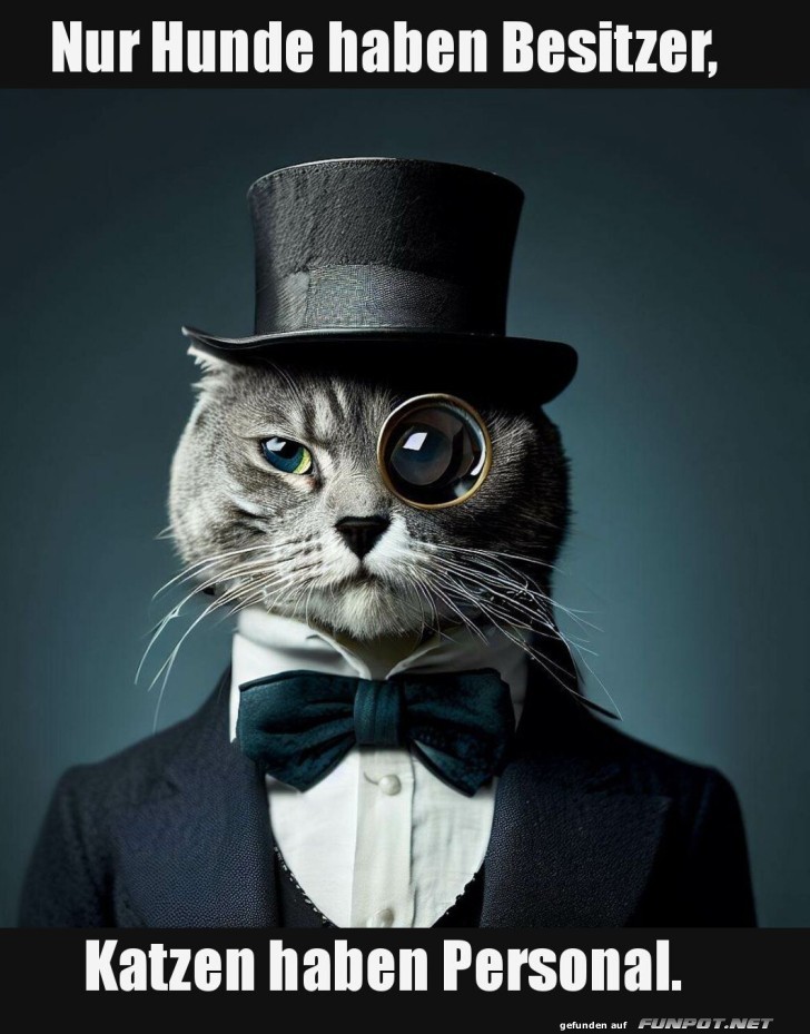 Lord Whiskers regiert �ber sein K�nigreich