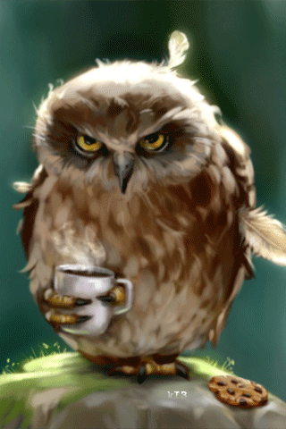 Guten Morgen