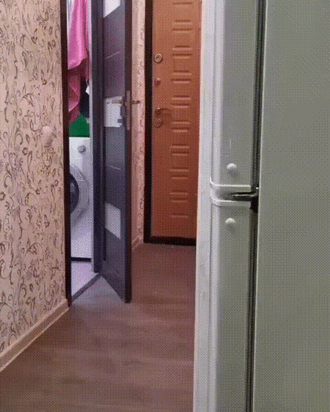 Flotter Abgang der Katze