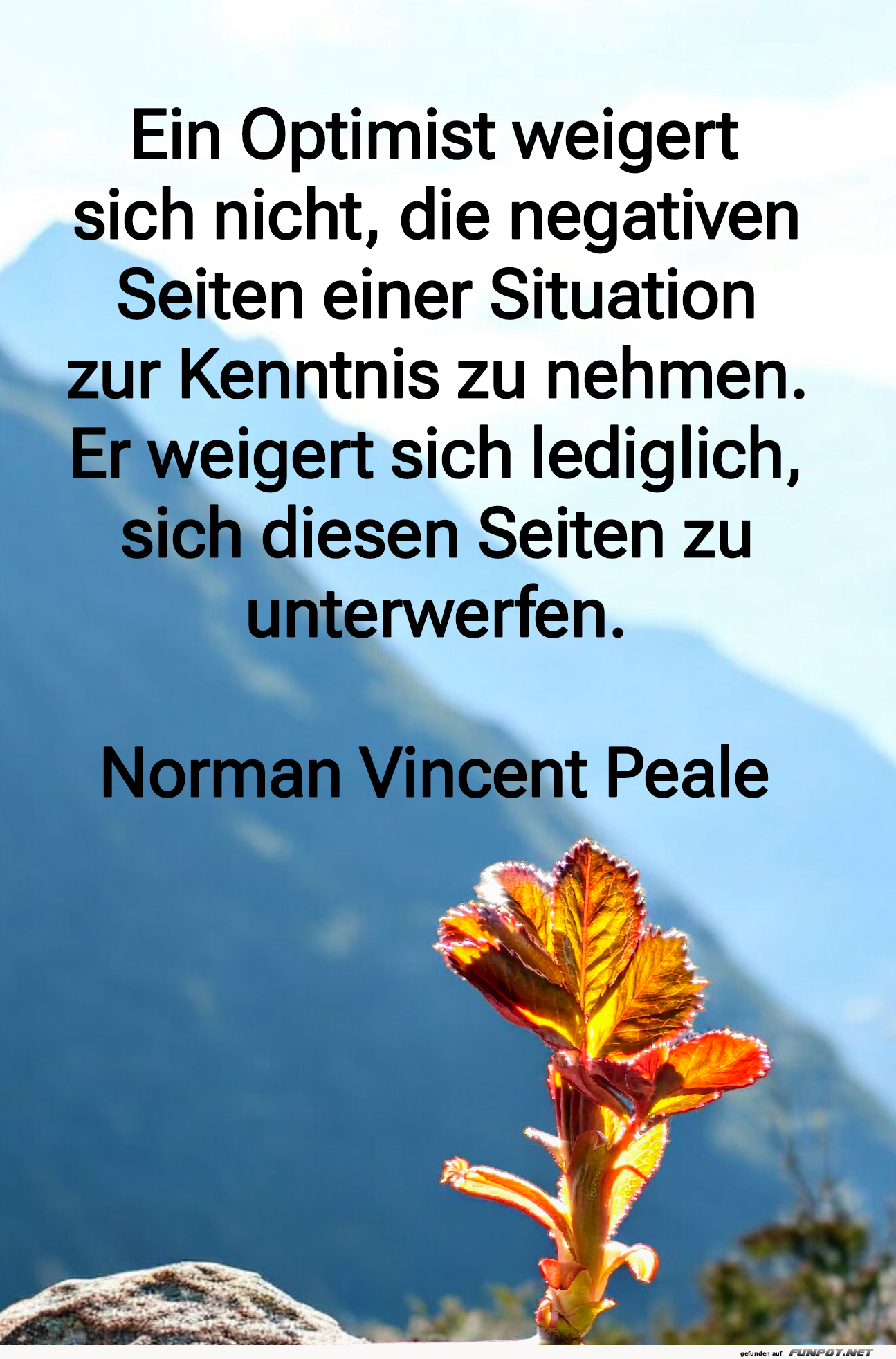 ein optimist weigert sich nicht