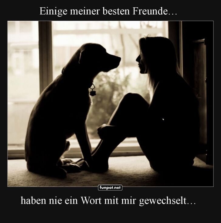 Wenn Schweigen Gold wert ist