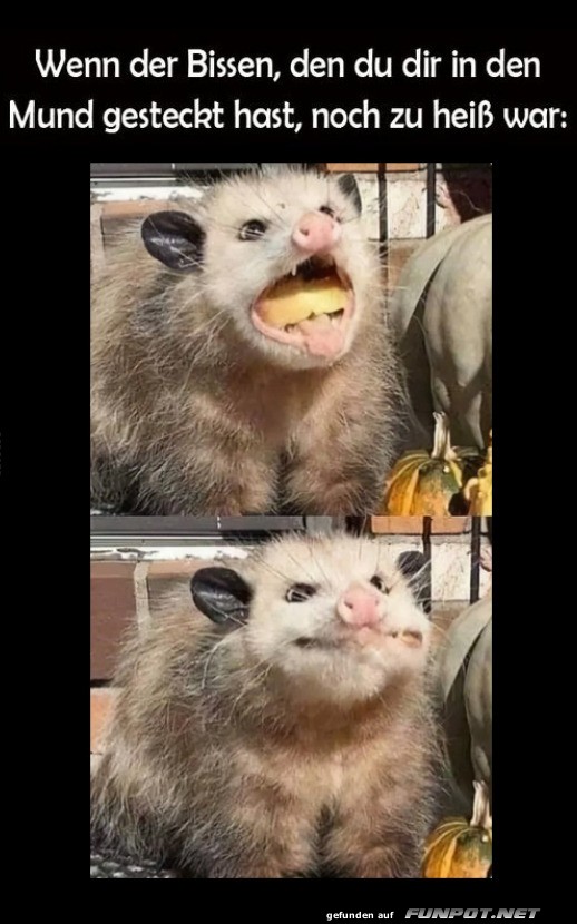 Wenn der Snack dir zeigt, wer Chef ist!
