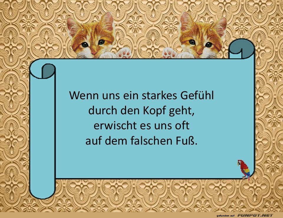 Wenn uns ein starkes Gef�hl