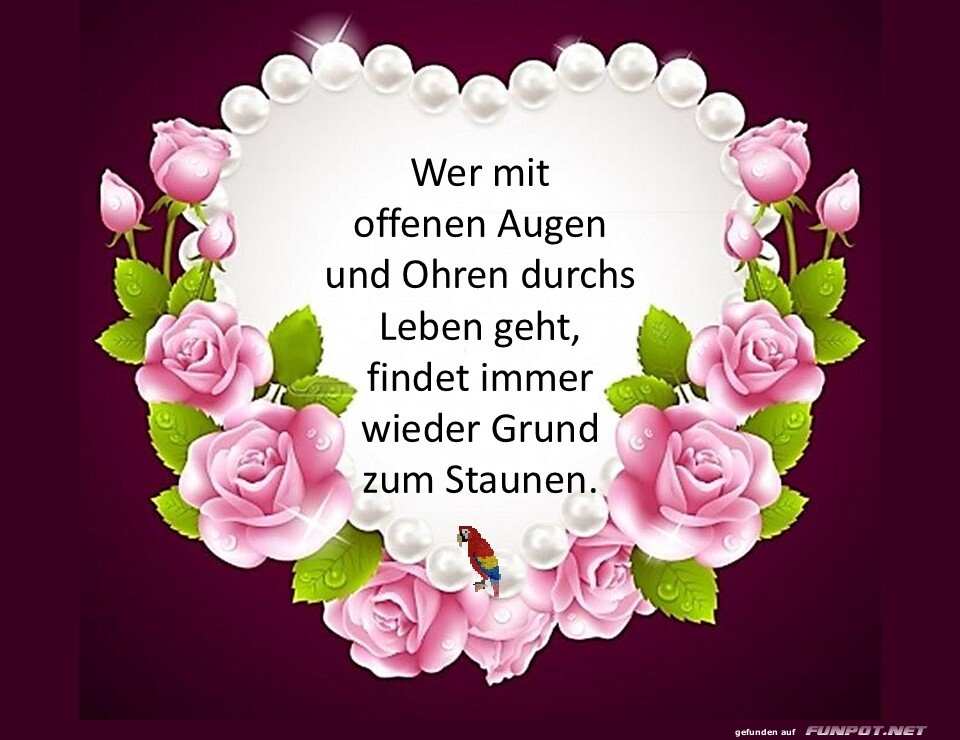 Wer mit offenen Augen geht