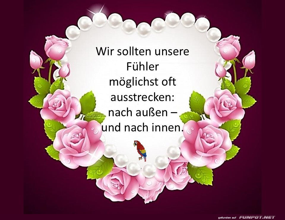 Wir sollten