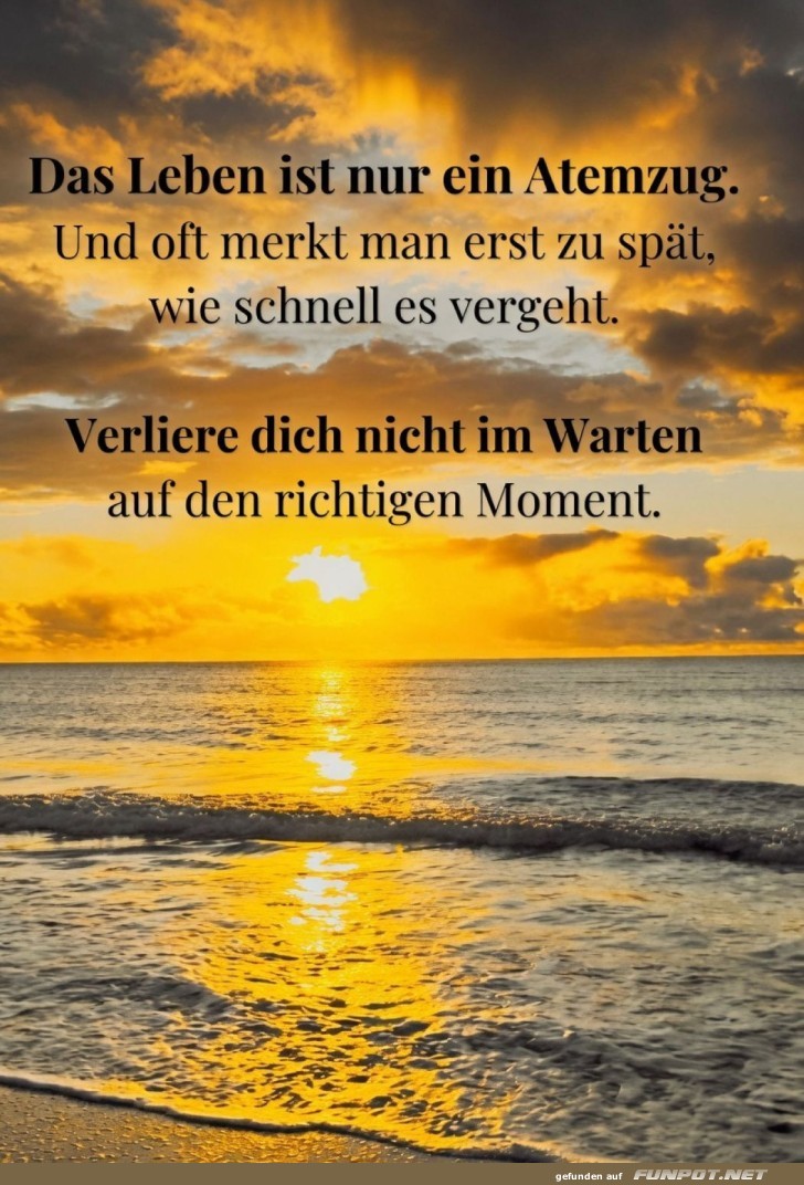 Lebensweisheit am Strand mit Sonnenuntergang