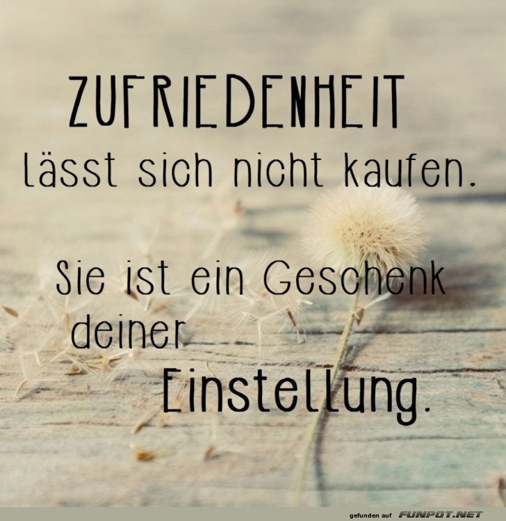 Zufriedenes Schn�ppchen? Fehlanzeige!