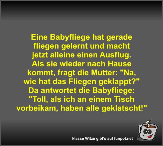 Eine Babyfliege hat gerade fliegen gelernt und macht jetzt