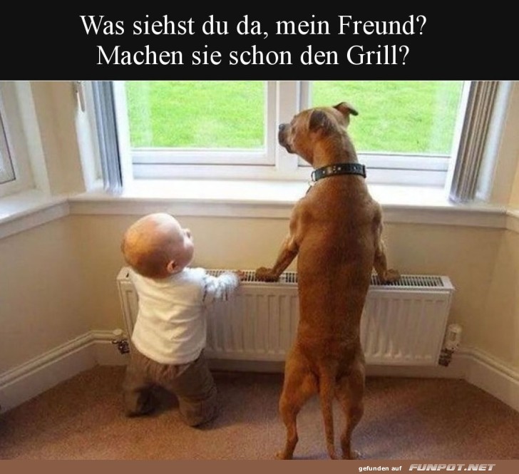 Gemeinsame Aussicht: Grillparty voraus?
