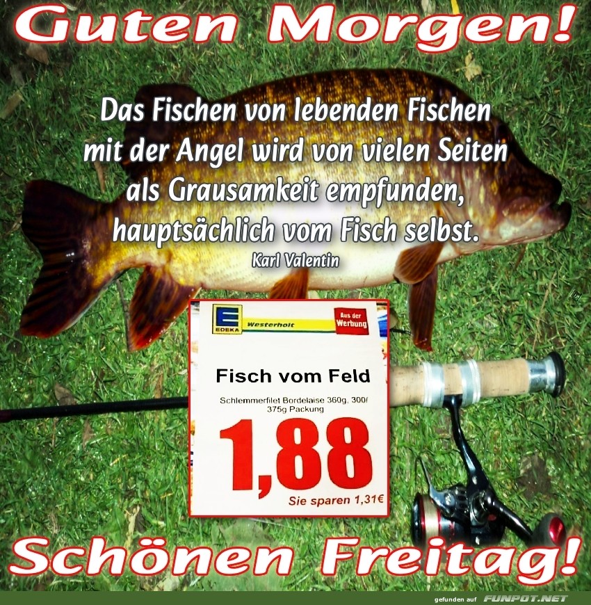 Freitag