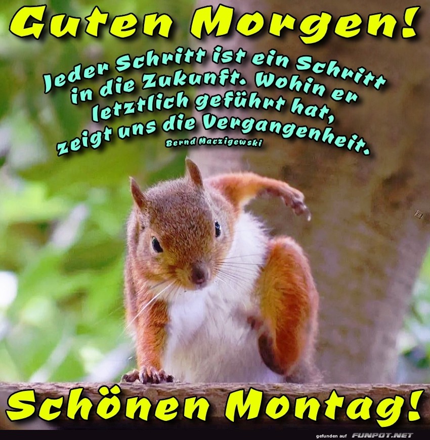 Eichh�rnchen ready f�r den Montagssprung!