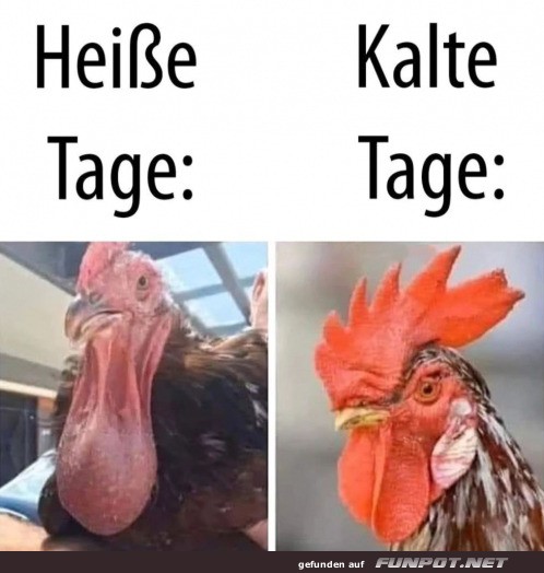 Wenn das Wetter Kopf steht