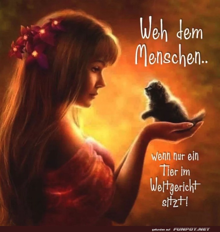Das flauschige Weltgericht
