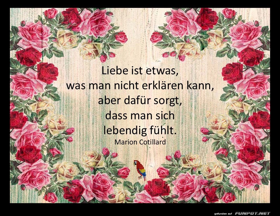 Liebe kann man nicht erkl�ren