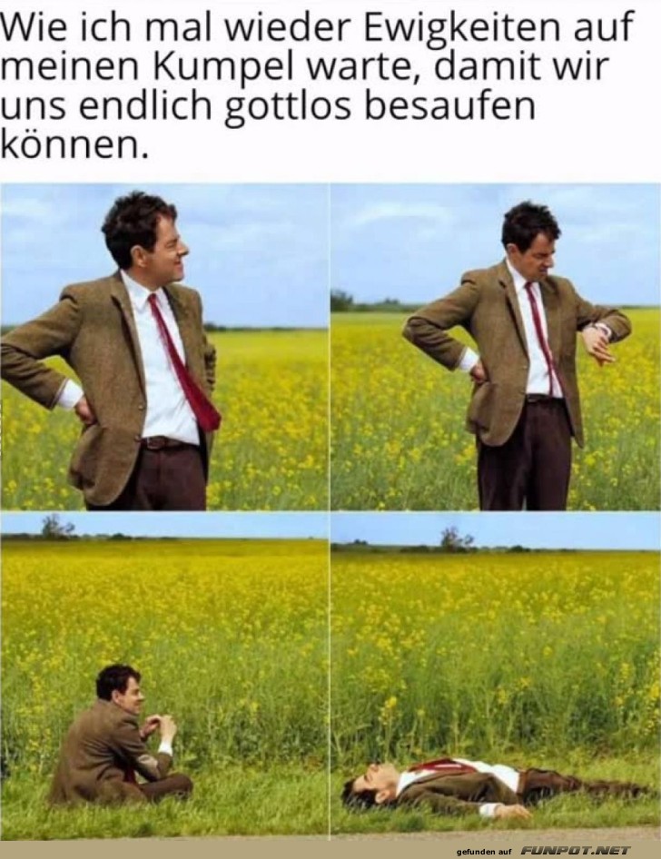 Warten auf den Kumpel im Blumenmeer